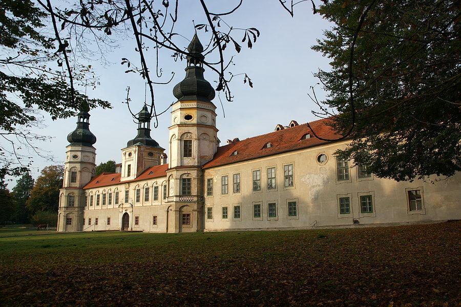 Zamek w Żyrowej