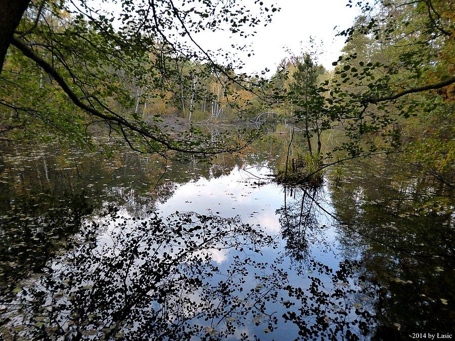 Mazowiecki Park Krajobrazowy w wersji jesiennej