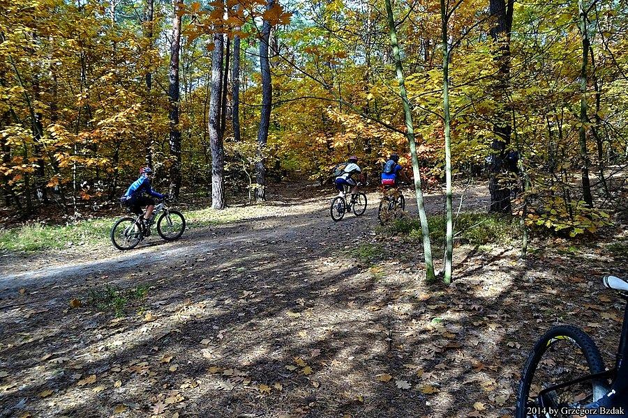 Mazowiecki Park Krajobrazowy w wersji jesiennej