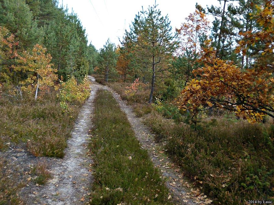 Mazowiecki Park Krajobrazowy w wersji jesiennej