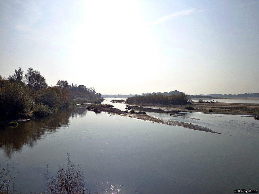 Świder wpada do Wisły