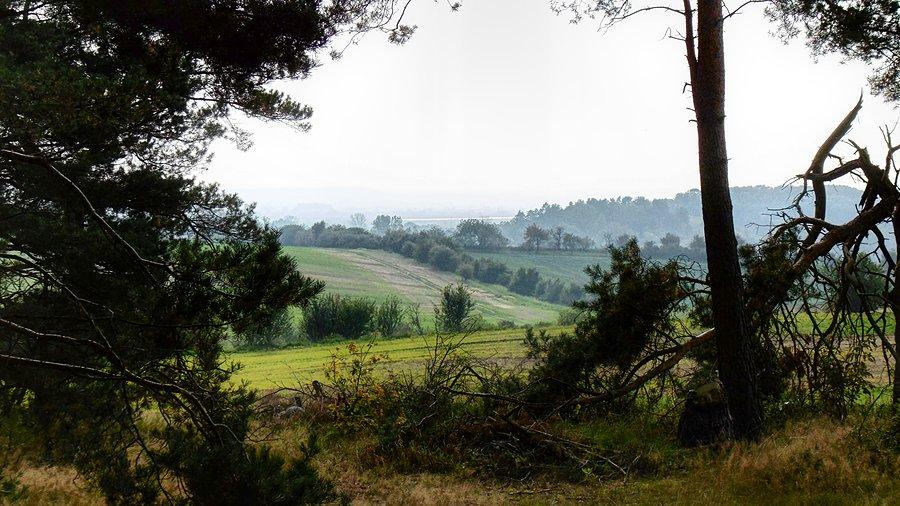 Widoków podziwianie