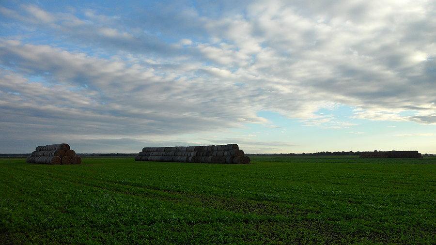 Krajobraz na trasie Walce - Rozkochów, brogi ze słomą