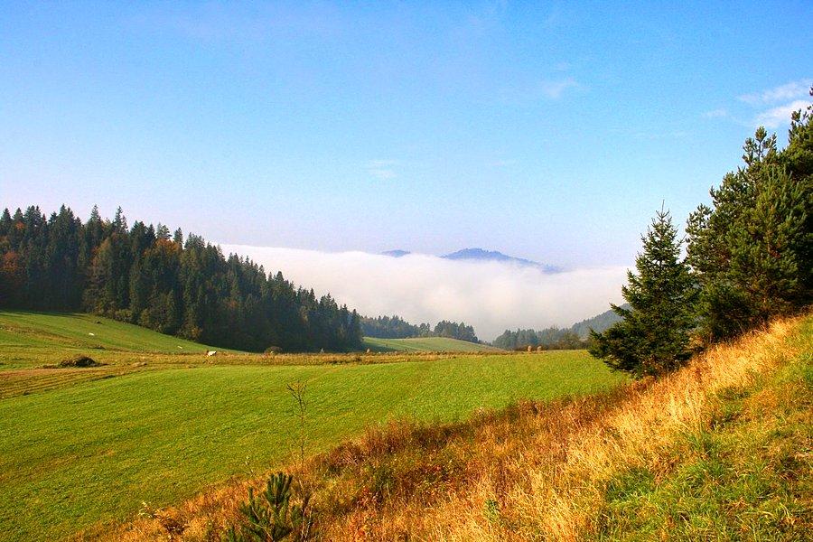 Poranne mgły