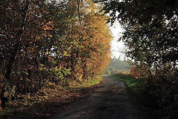 Droga na Trzemeską Górę