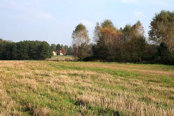 Okolice osiedla Pośkle