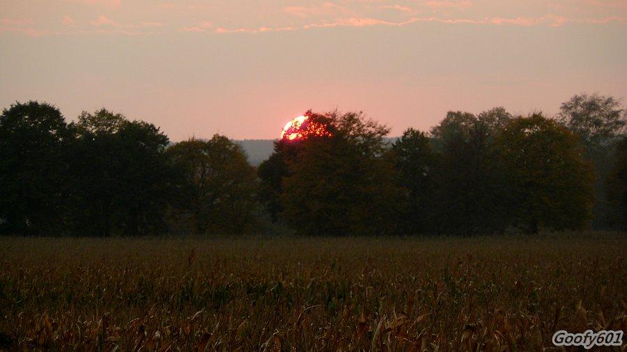Czekanów - zachód słońca