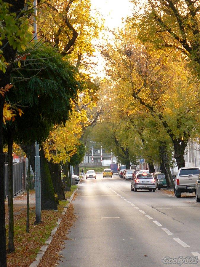 Gliwicka jesień