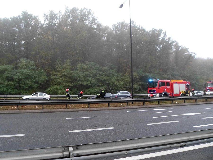 Strażacy udzielają pomocy ofierze wypadku. Lasek na Kole