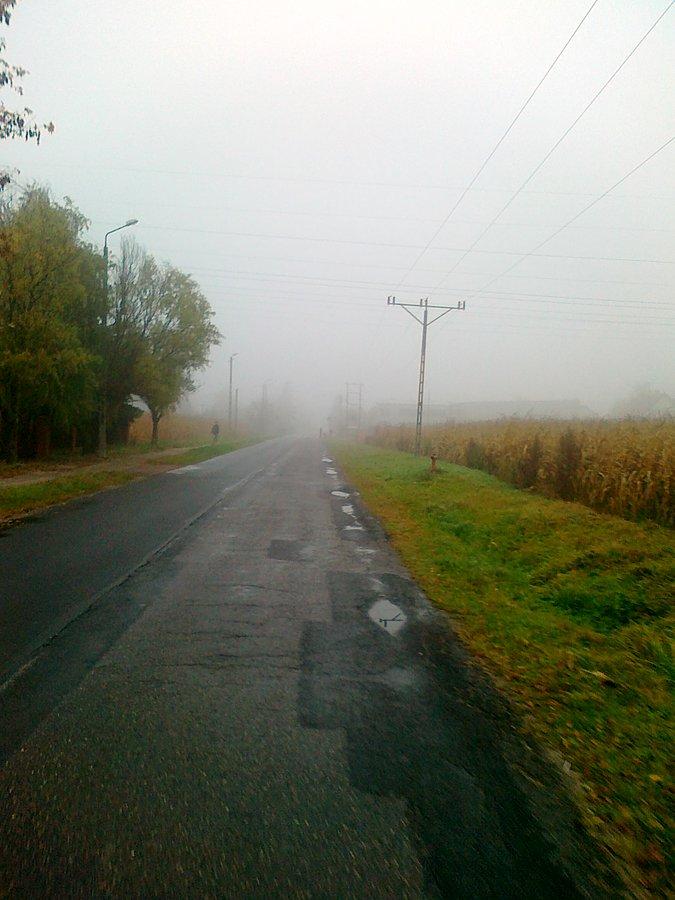 "Rano mgła