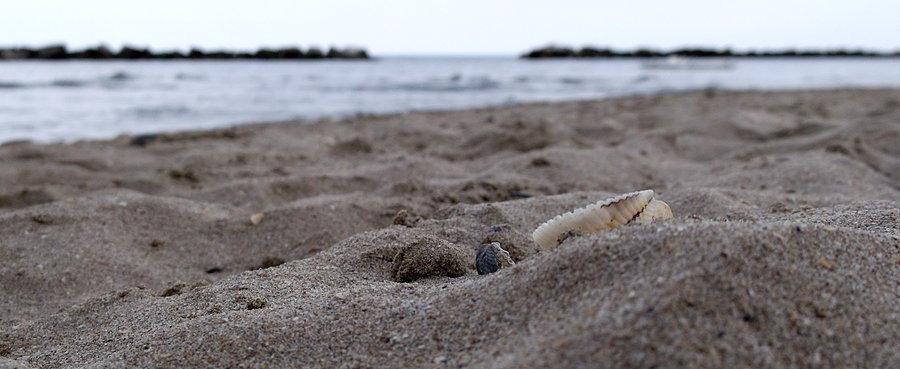 Powiadam że ten piasek jest gorszy od naszego nadbałtyckiego