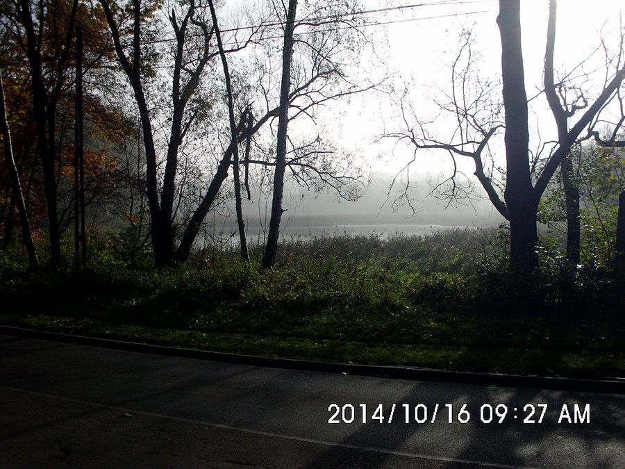 Staw nad Bytomką