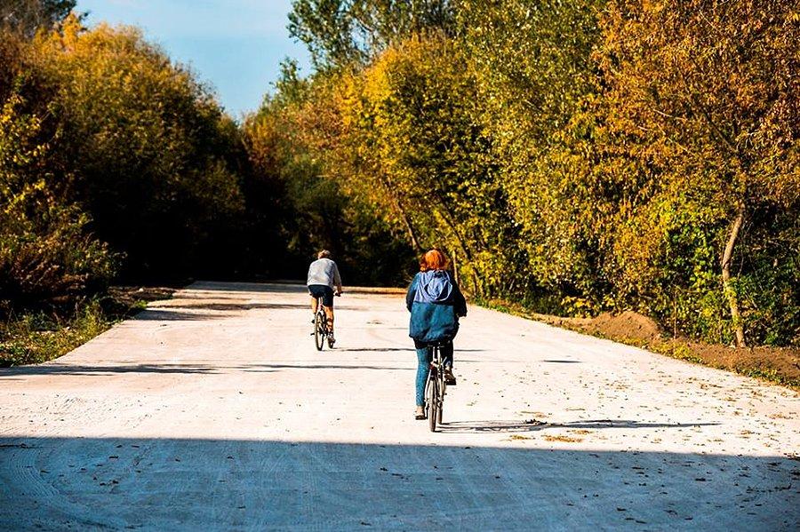 Fragment Nadwiślańskiego Szlaku Rowerowego