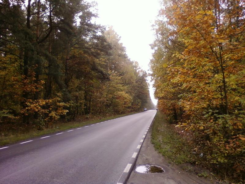 Aleksandrów - Lutomiersk