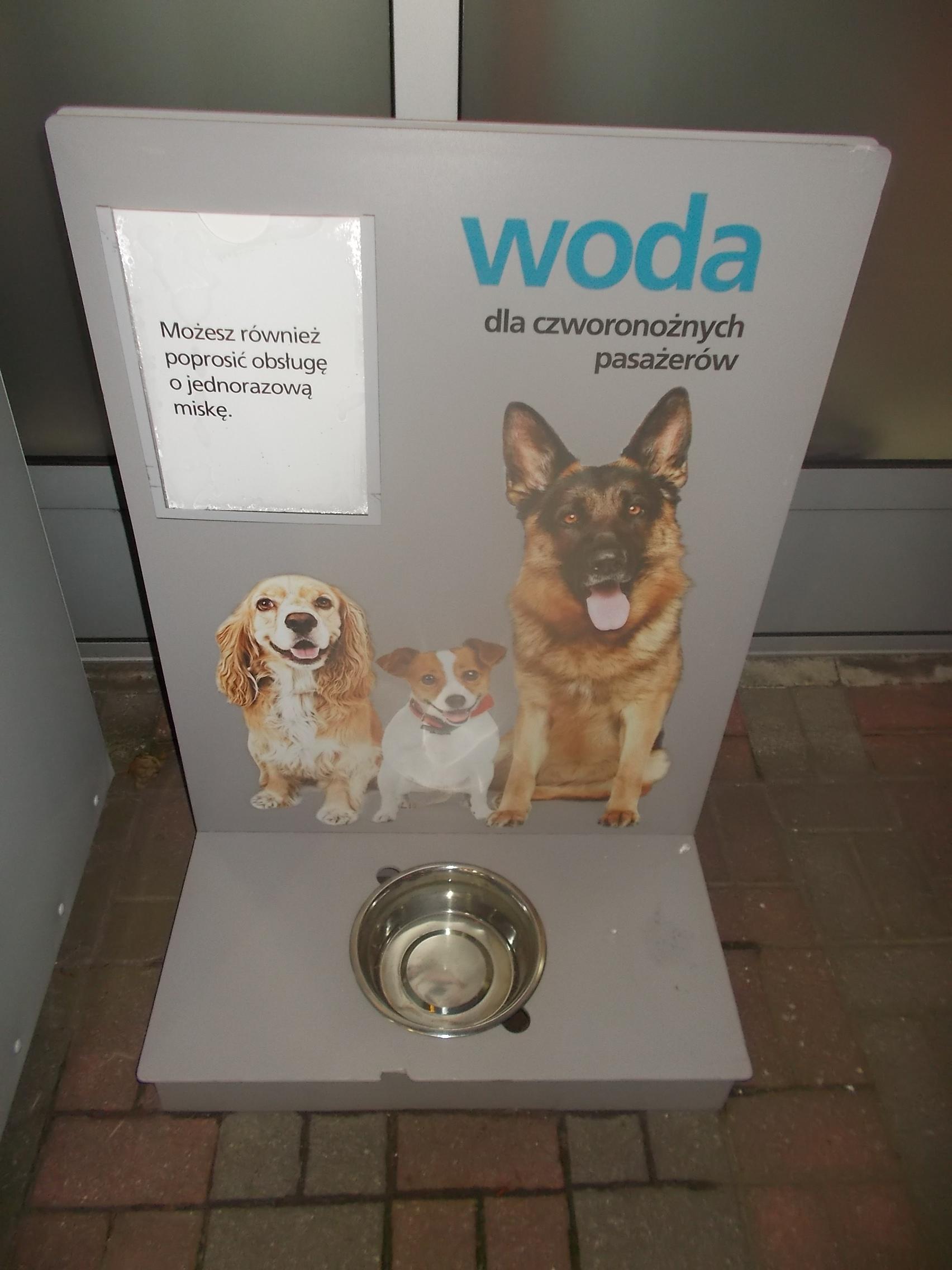 Gniew - stacja Lotos i troska o braci naszych mniejszych :-)