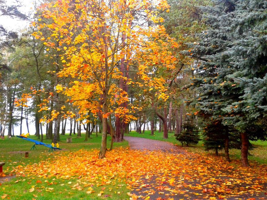 Jesień nad J.Miedwie