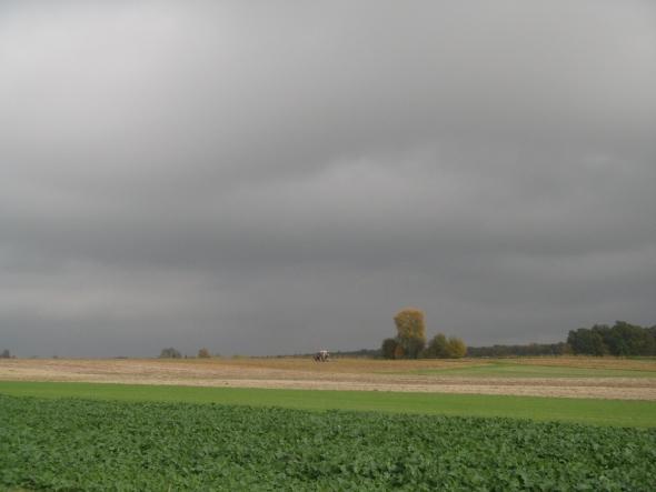 Czarne chmury nad Kazimierzówką