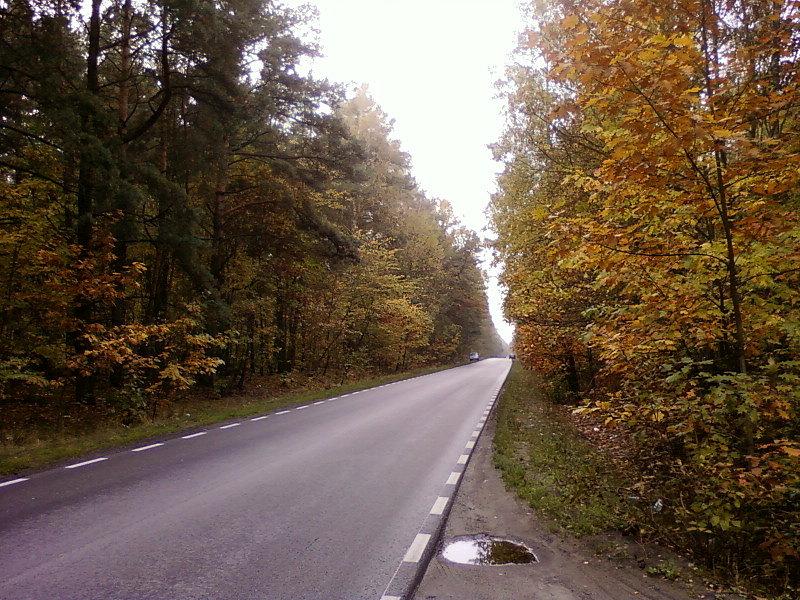 Aleksandrów - Lutomiersk