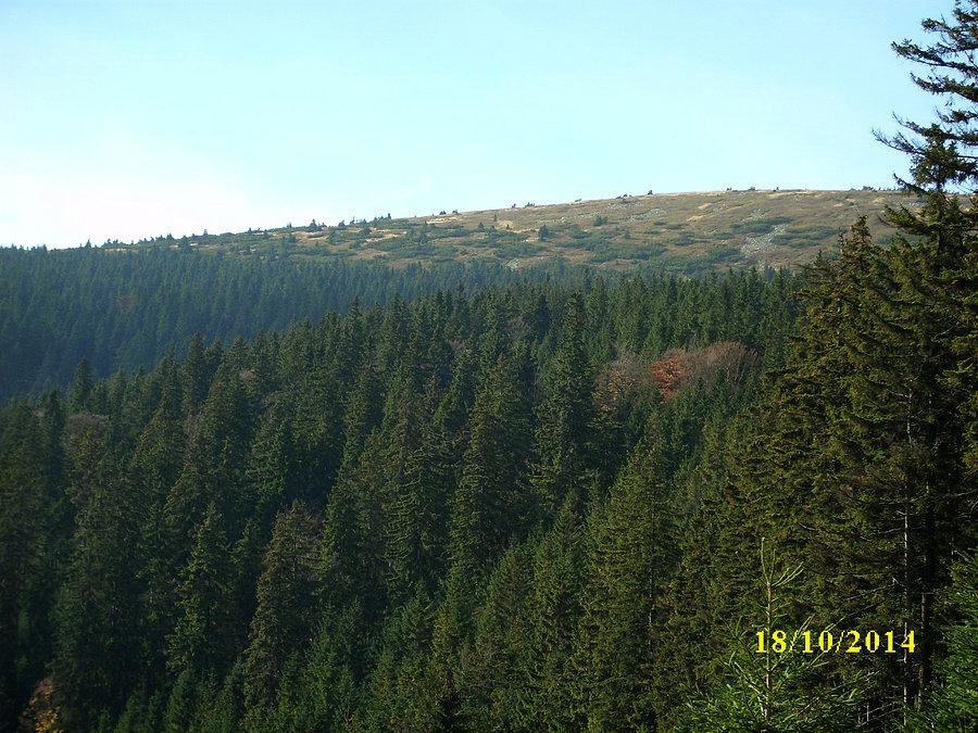 Szczyt Śnieżnika w zbliżeniu