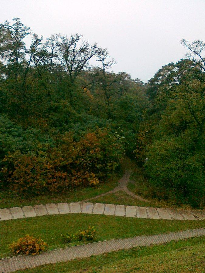 Lasek na Kole. Widok z wiaduktu