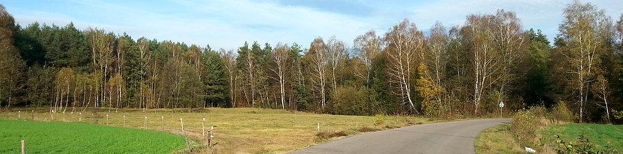 Słoneczna jesień