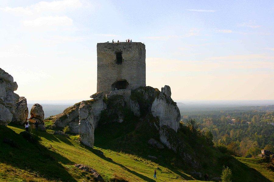 Zamek w Olsztynie IV