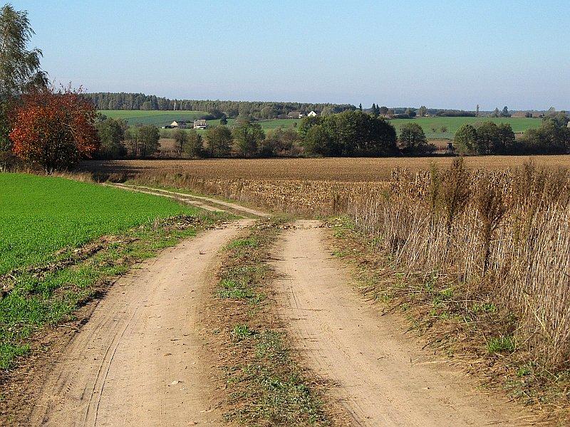 Malownicza droga z Rybna Wlk. do Łubowic