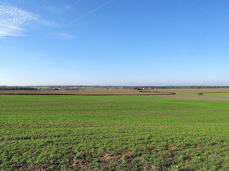 Panorama ze wzniesienia w Rybnie Wlk