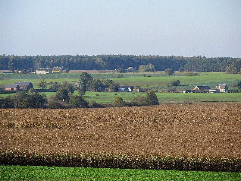 Wieś Wysoka w oddali