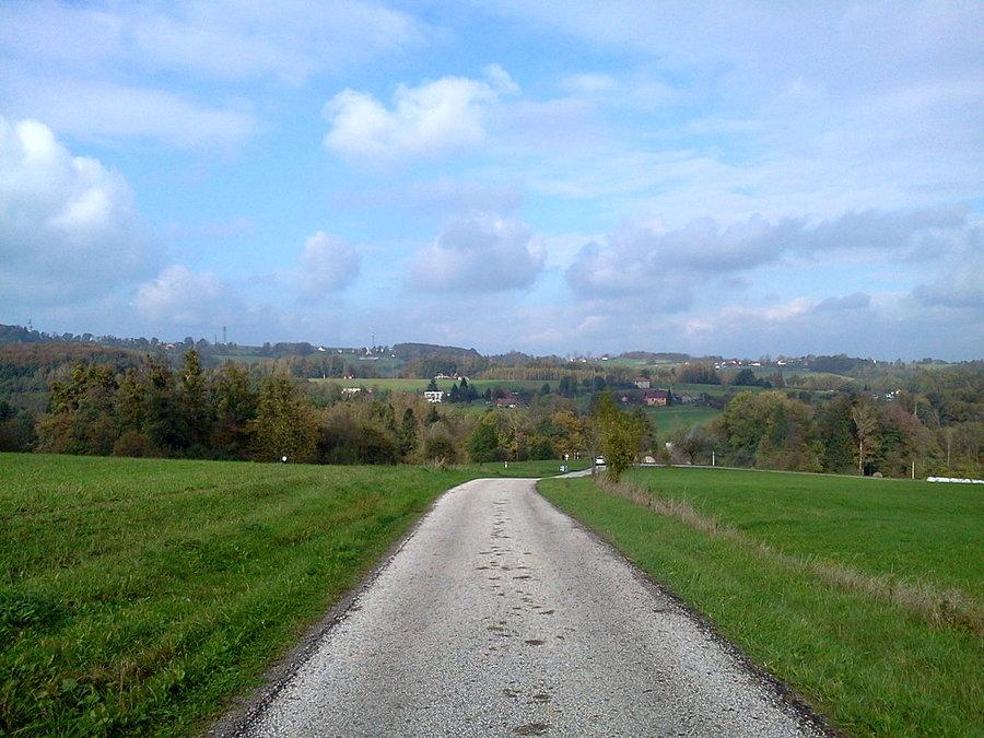 Do Mistrzowic