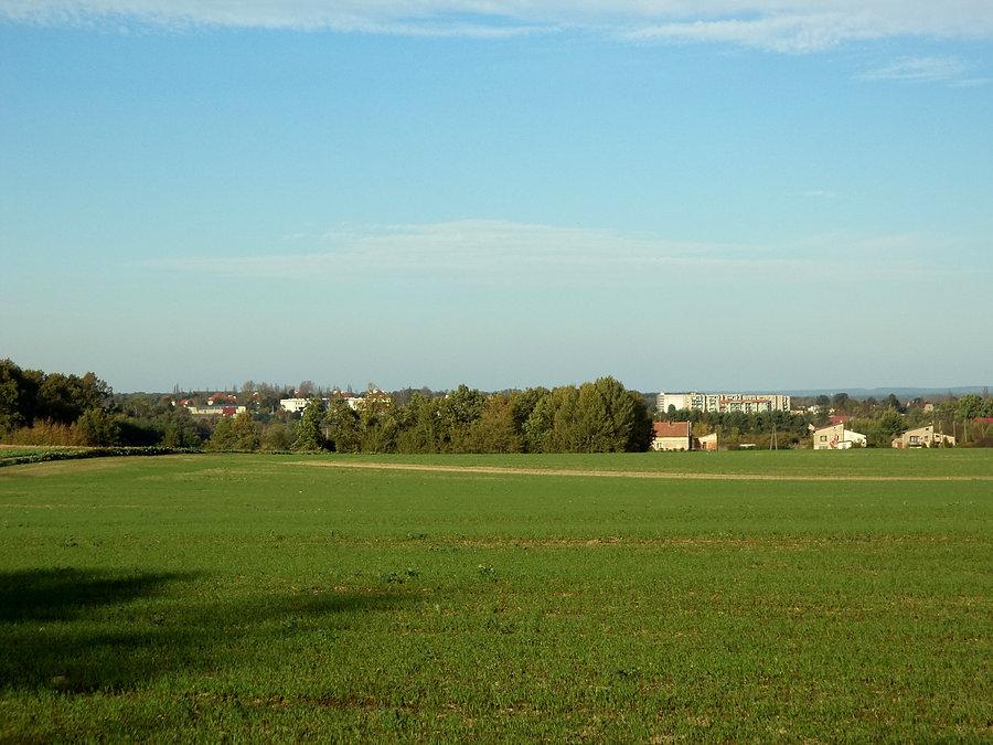 19. październik 2014: lazurowe niebo, ok. 20*C w cieniu, połowa ludzi na letniaka a w wielu miejscach brak śladów jesieni (tu: widok na Kożuchów)