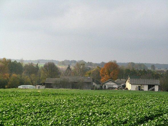Widok na Czerniejów