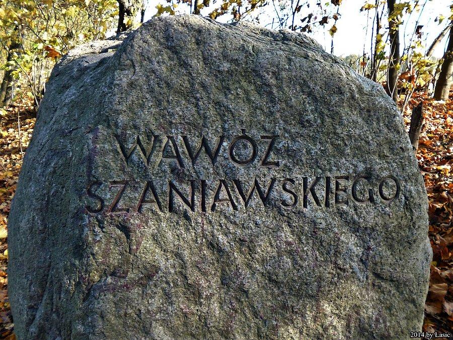 Wąwóz Szaniawskiego