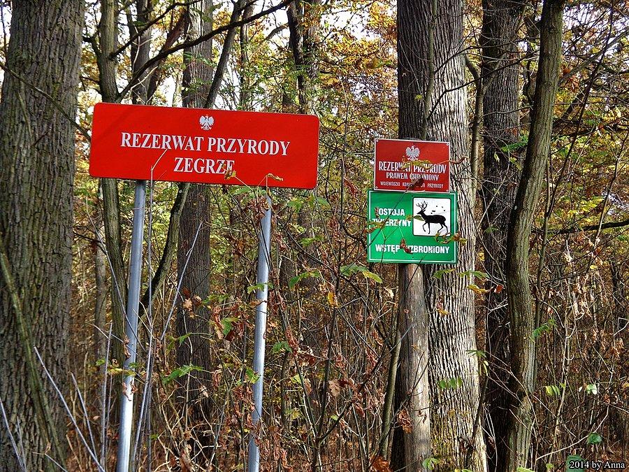 Rezerwat przyrody Zegrze
