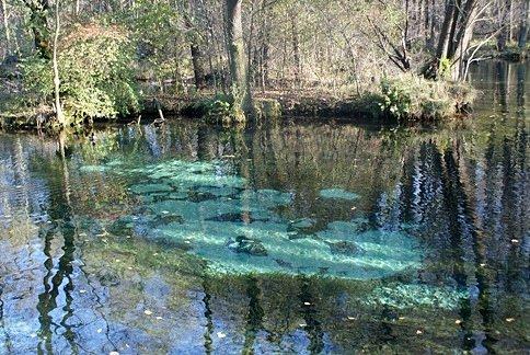 Piękny kolor Niebieskich Źródeł dziś się nam ukazał