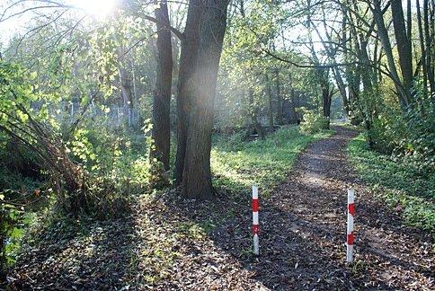 Do Rezerwatu można wejsć/wjechać i tędy
