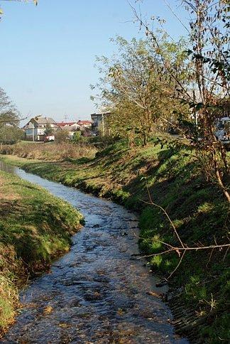 Rzeczka o nazwie Niebieskie Źródła