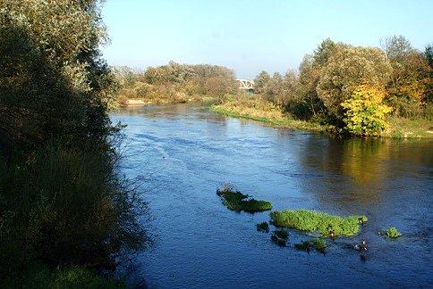 Widok z mostu drogowego na fragment mostu kolejowego na Pilicy