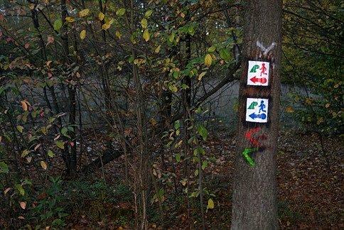 Trasy dla biegaczy, nie tylko sportowców
