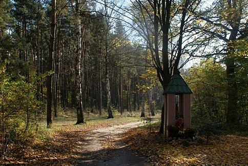 Szlakiem koło Małych Grot