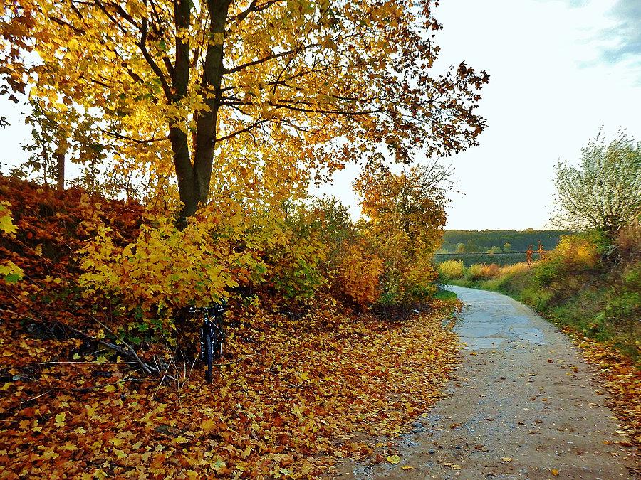 Jesień na Kociewiu
