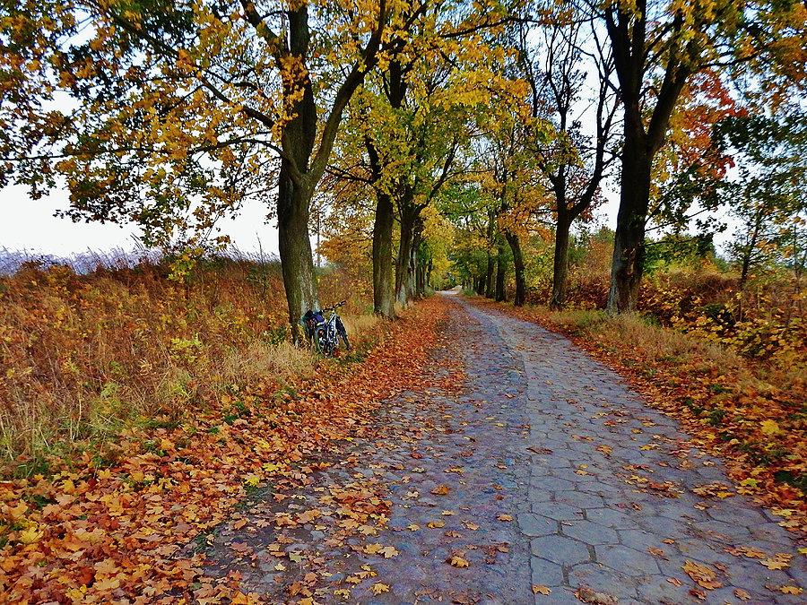 Jesień na Kociewiu
