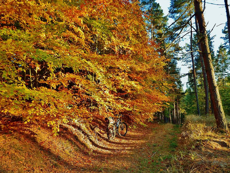 Jesień na Kociewiu