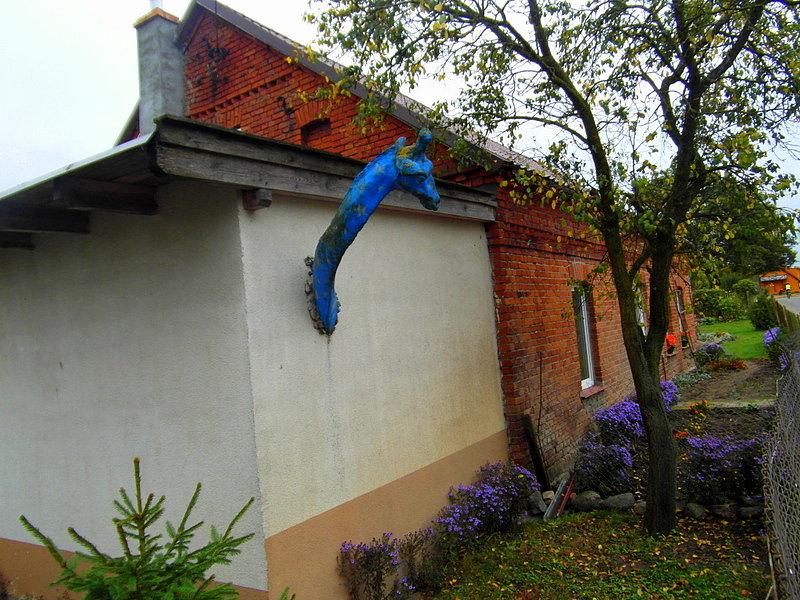 Żyrafa - Rodowo