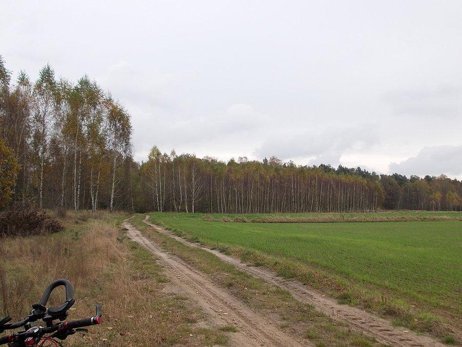 Barwy jesieni