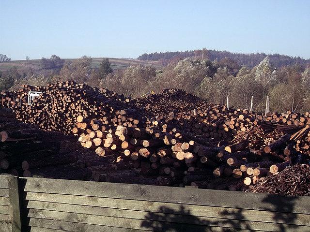 Tartak
