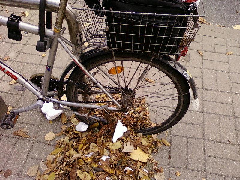Koło w liściach