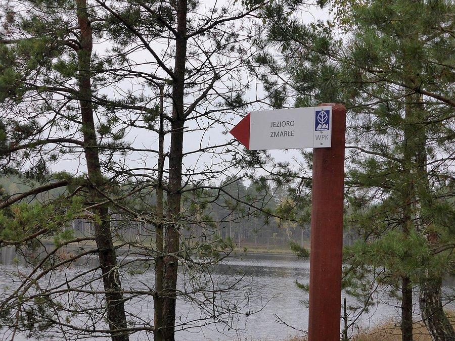 Ciekawe skąd ta nazwa