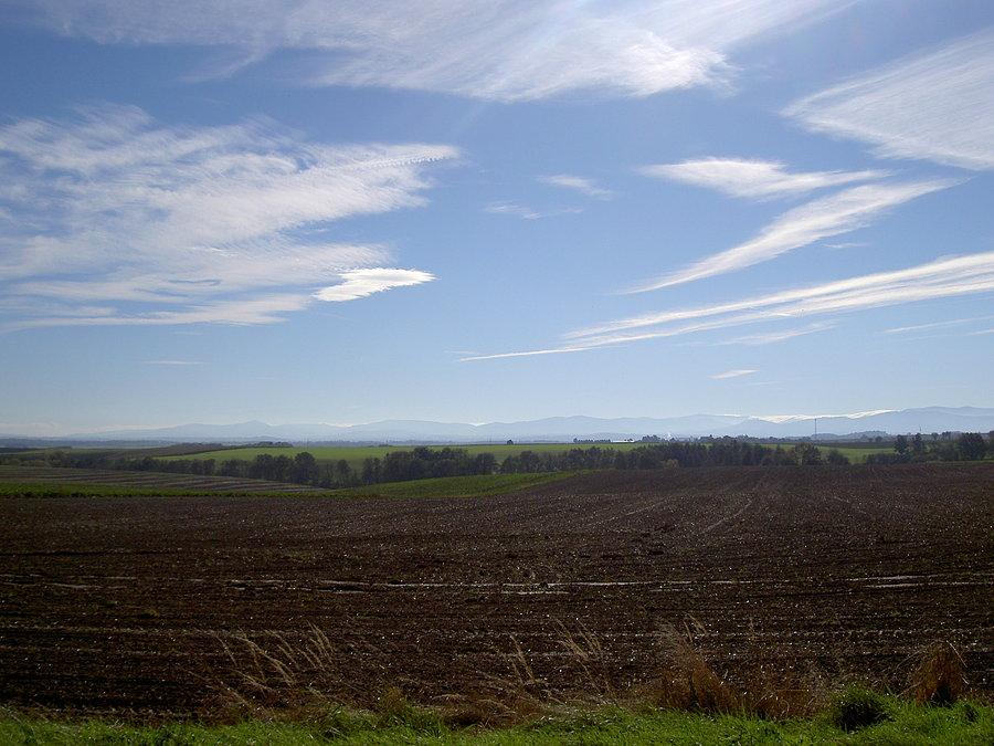 Widok na Jesenniki