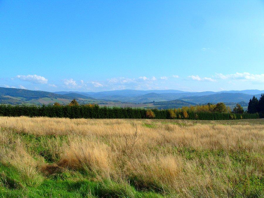 Widok w stronę Lądka